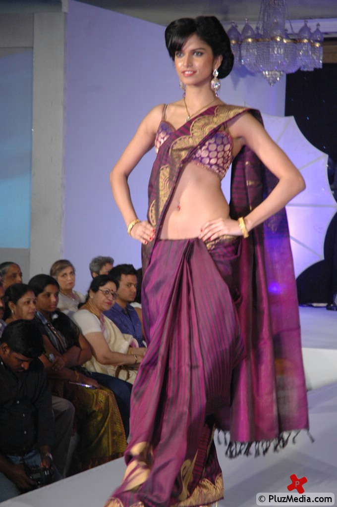 Palam Silk Fashion Show 2011 Pictures | Picture 74237